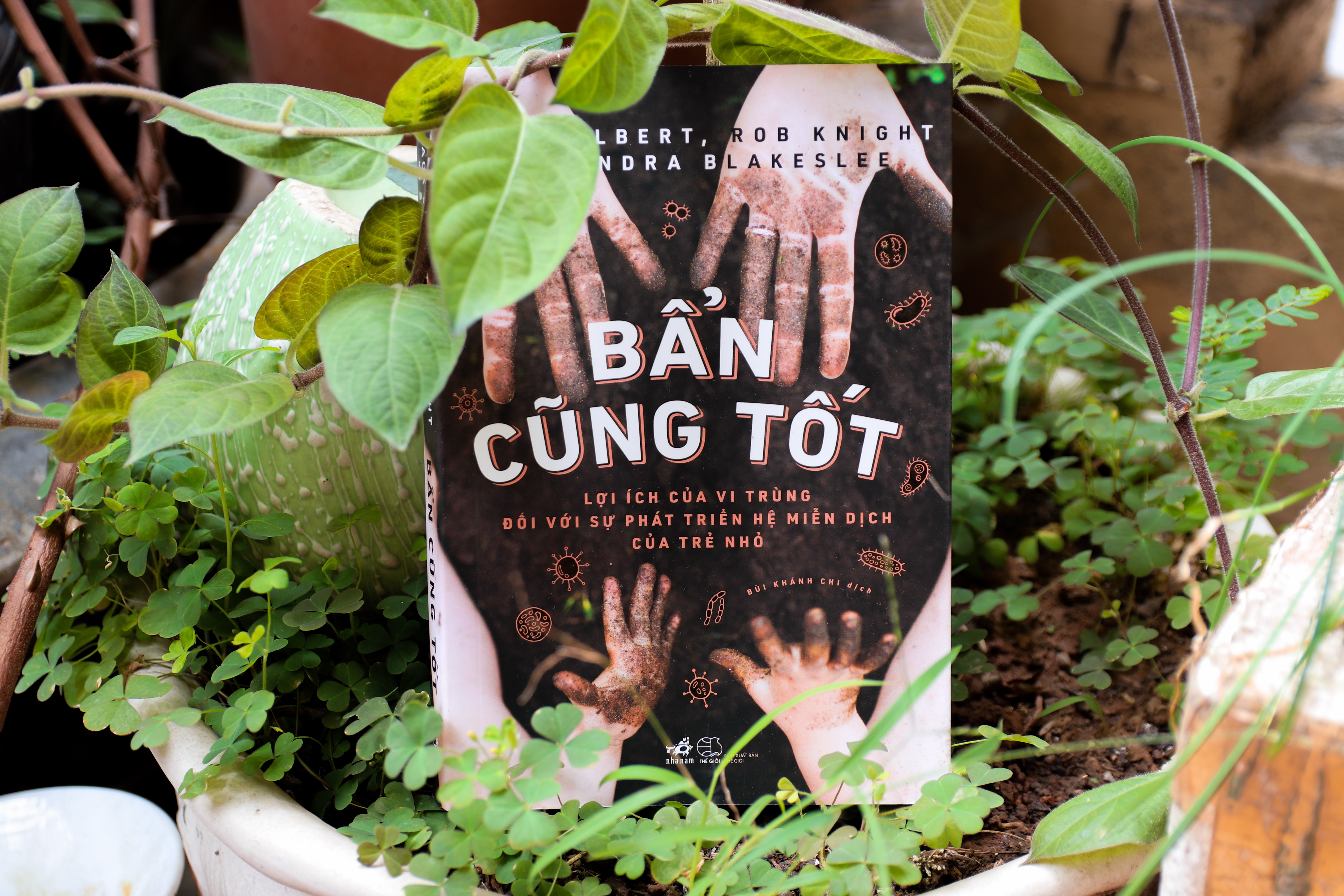 Ban cung tot anh 1