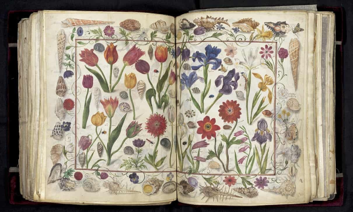 Sach gia 3, 3 trieu USD anh 2