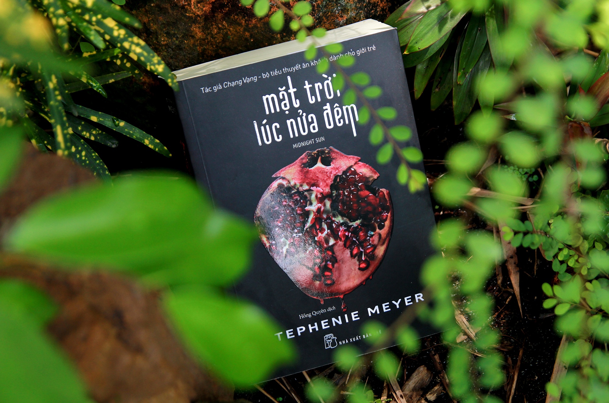 Nhung tua sach hay ra mat trong thang 9 hinh anh