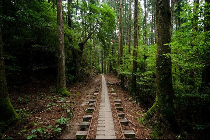 Nguon goc nghe thuat tam rung hinh anh