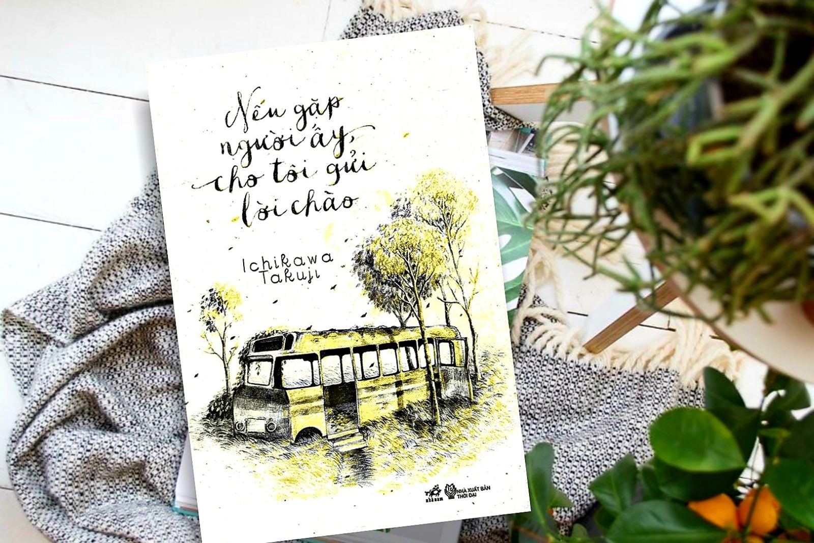 ichikawa takuji anh 1