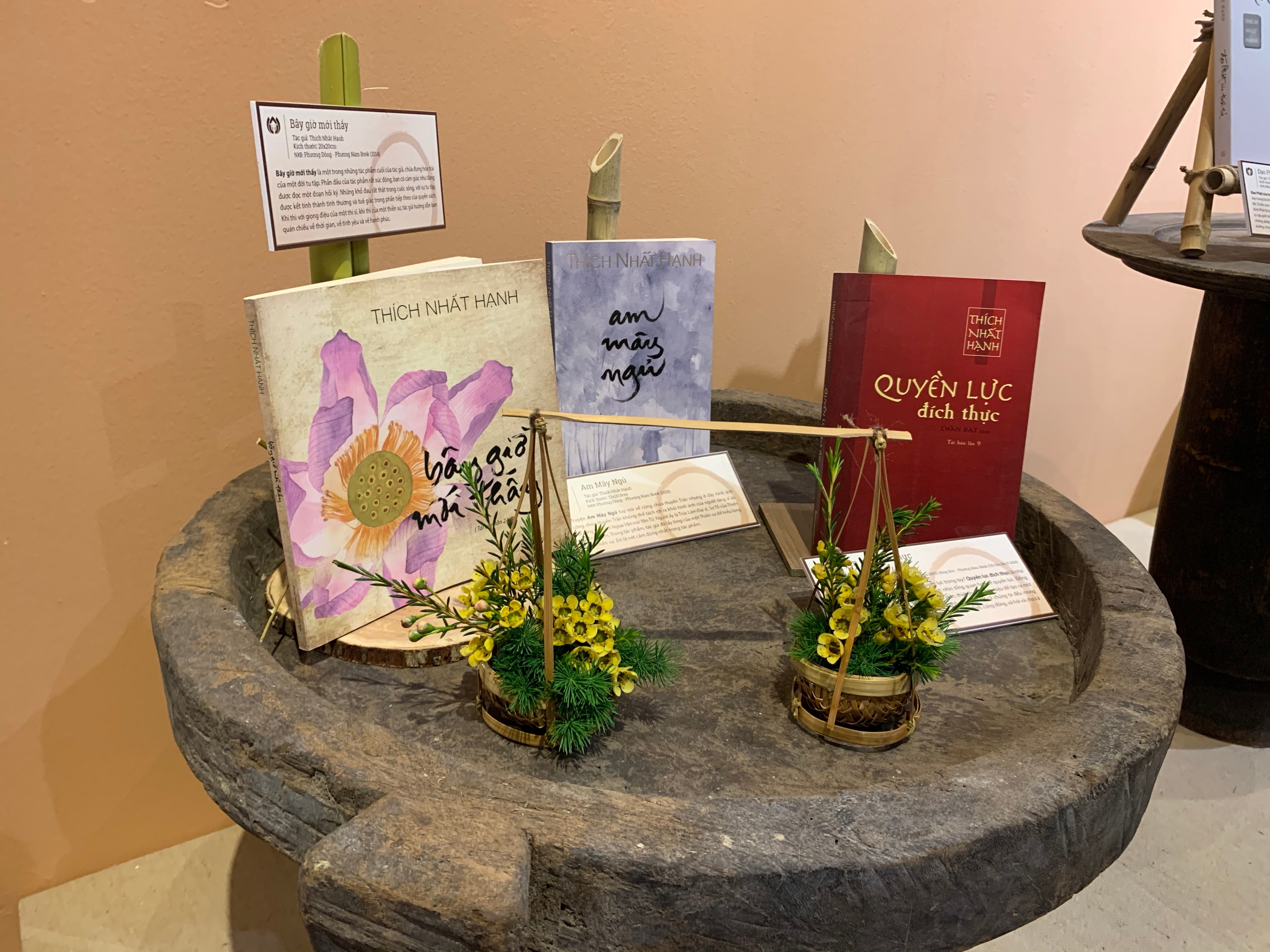 Thien su Thich Nhat Hanh anh 6