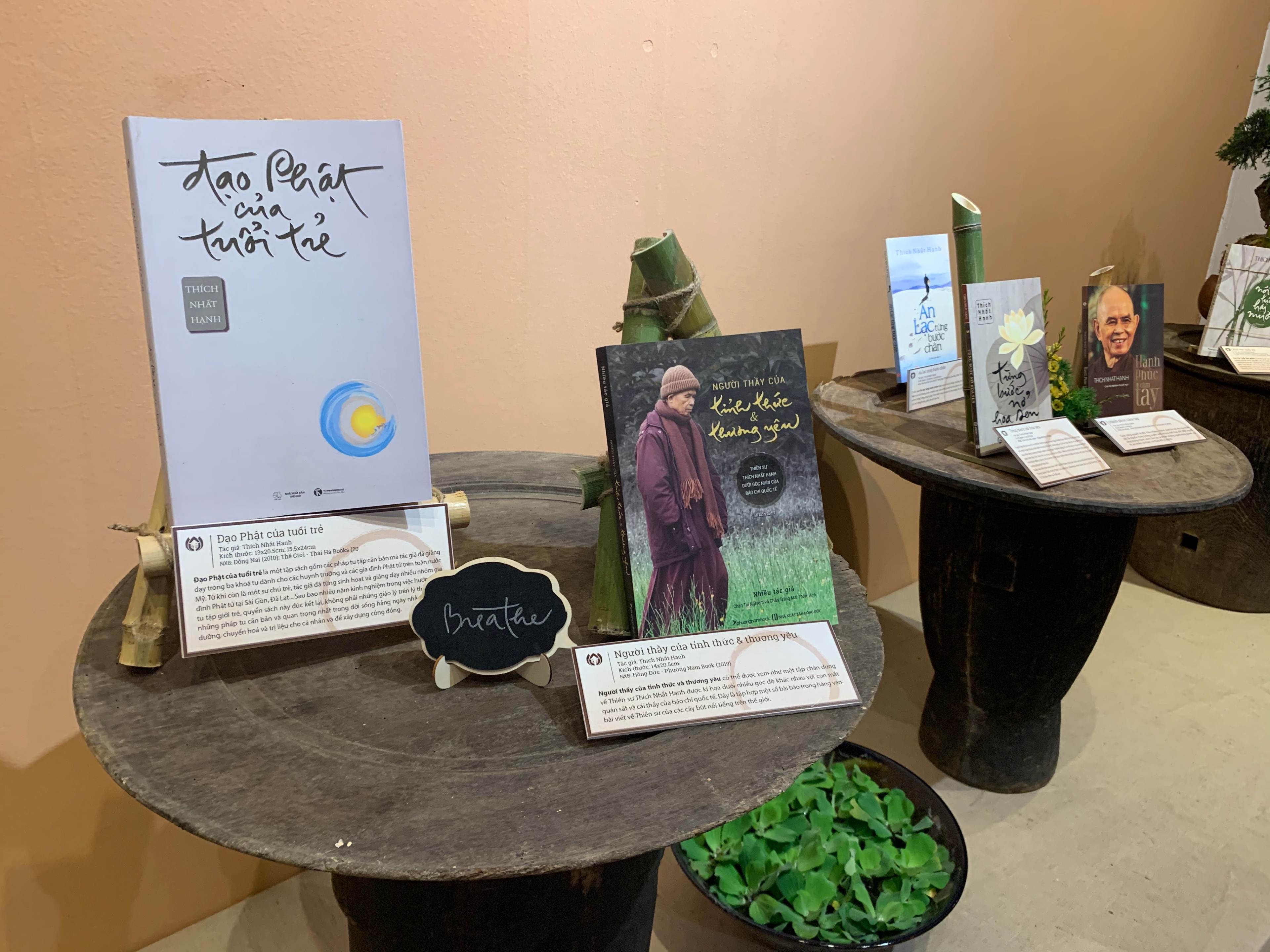 Nhung tac pham noi tieng cua thien su Thich Nhat Hanh hinh anh