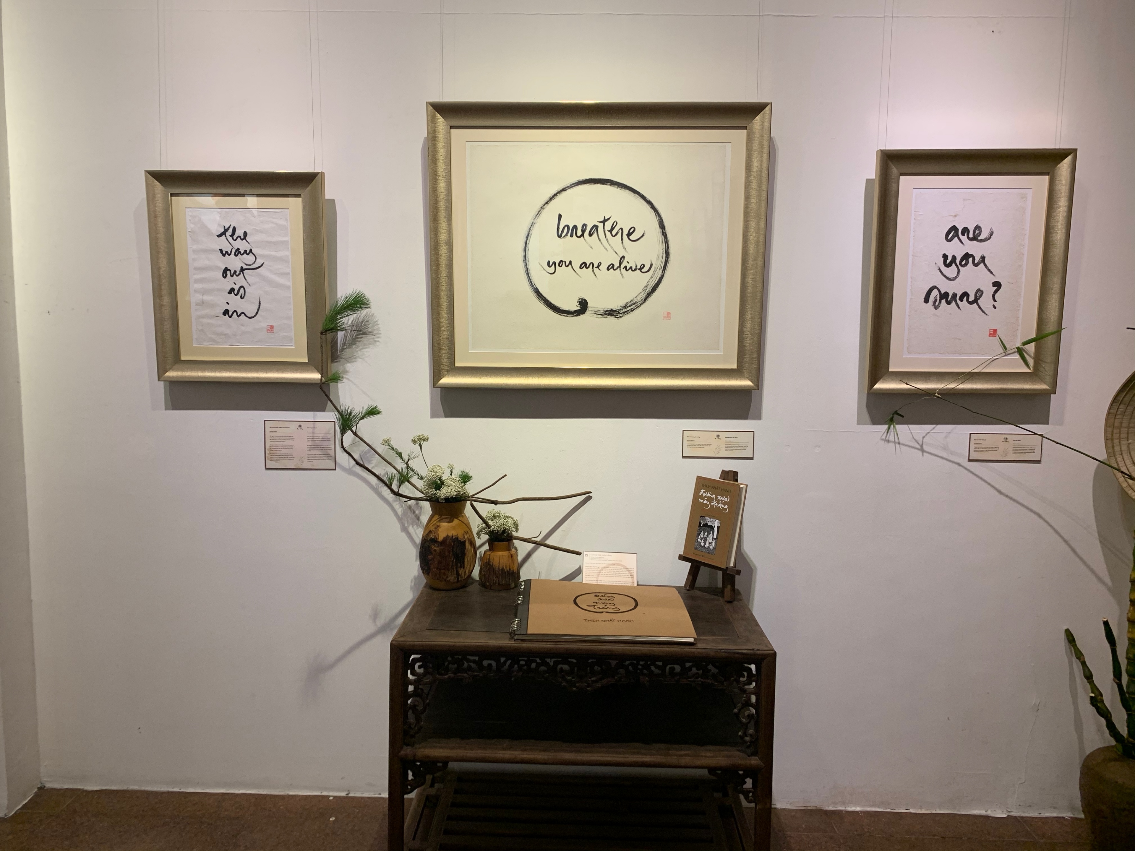 Thien su Thich Nhat Hanh anh 2