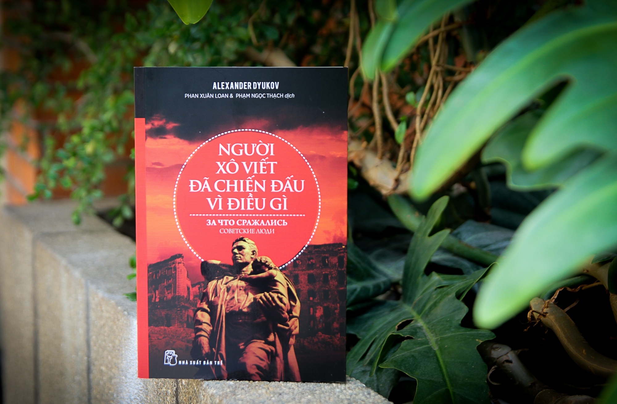 Chien tranh kieu Quoc xa hinh anh