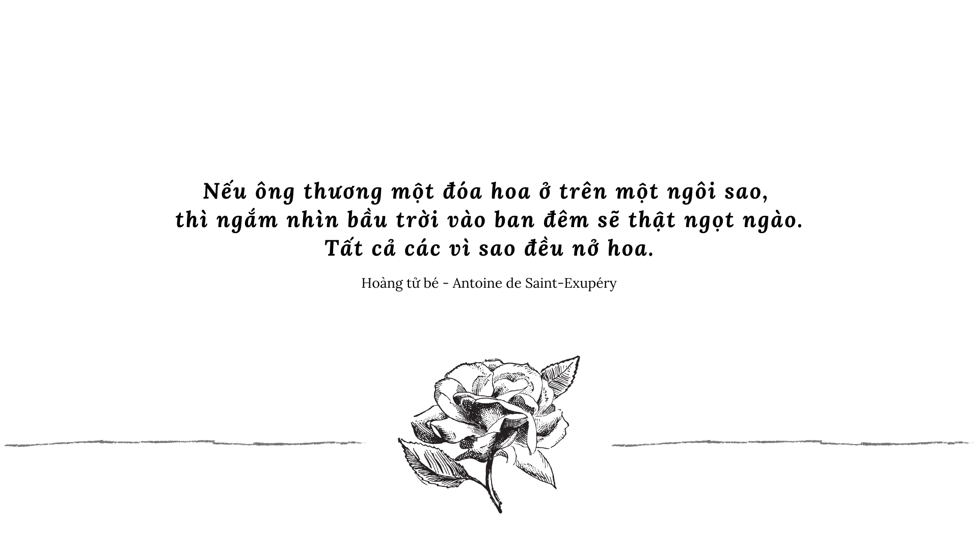 hoang tu be anh 5