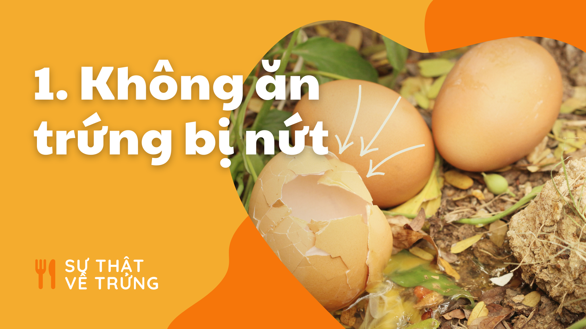 Khoa hoc ve nau an anh 1