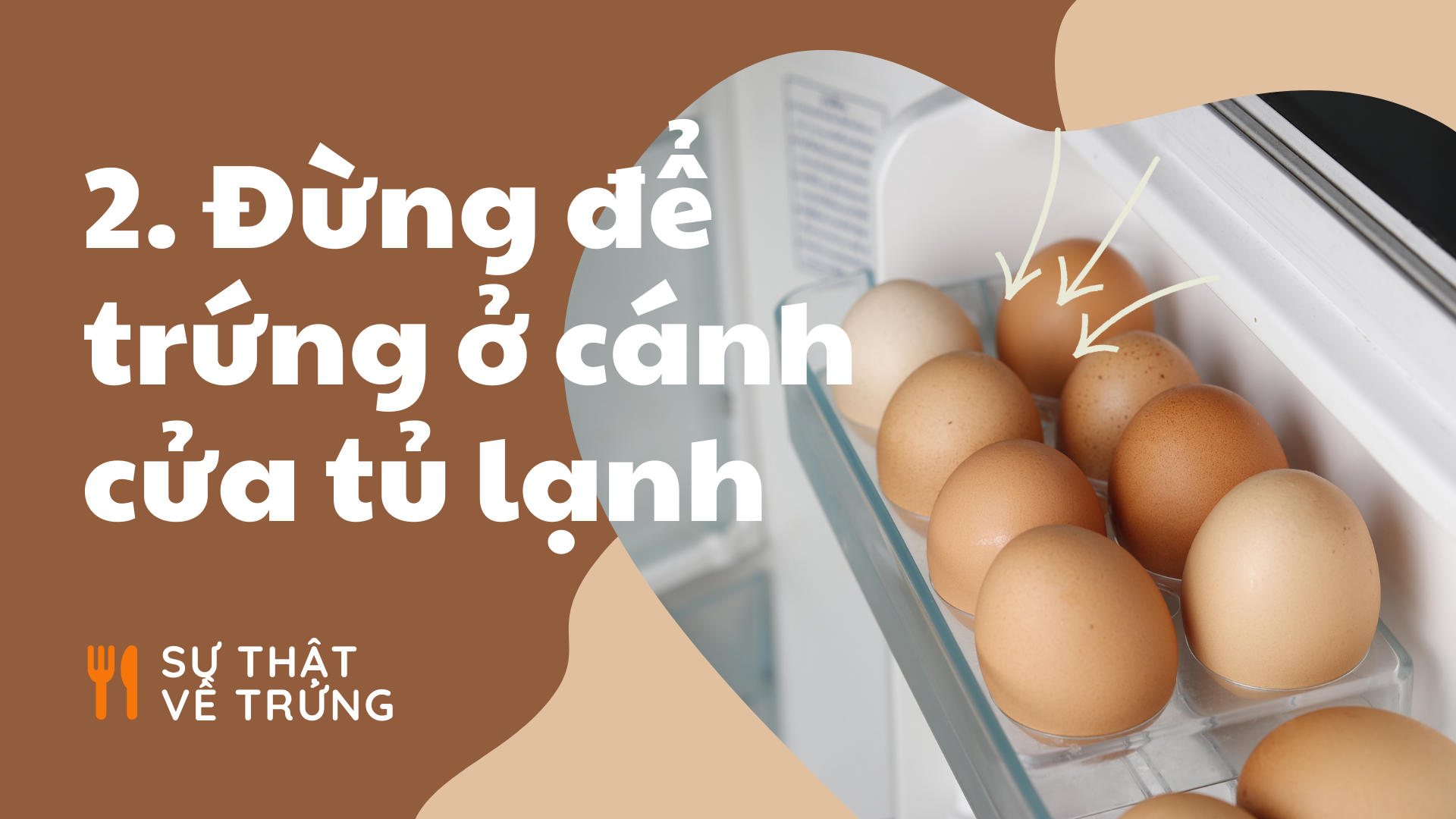 Khoa hoc ve nau an anh 2