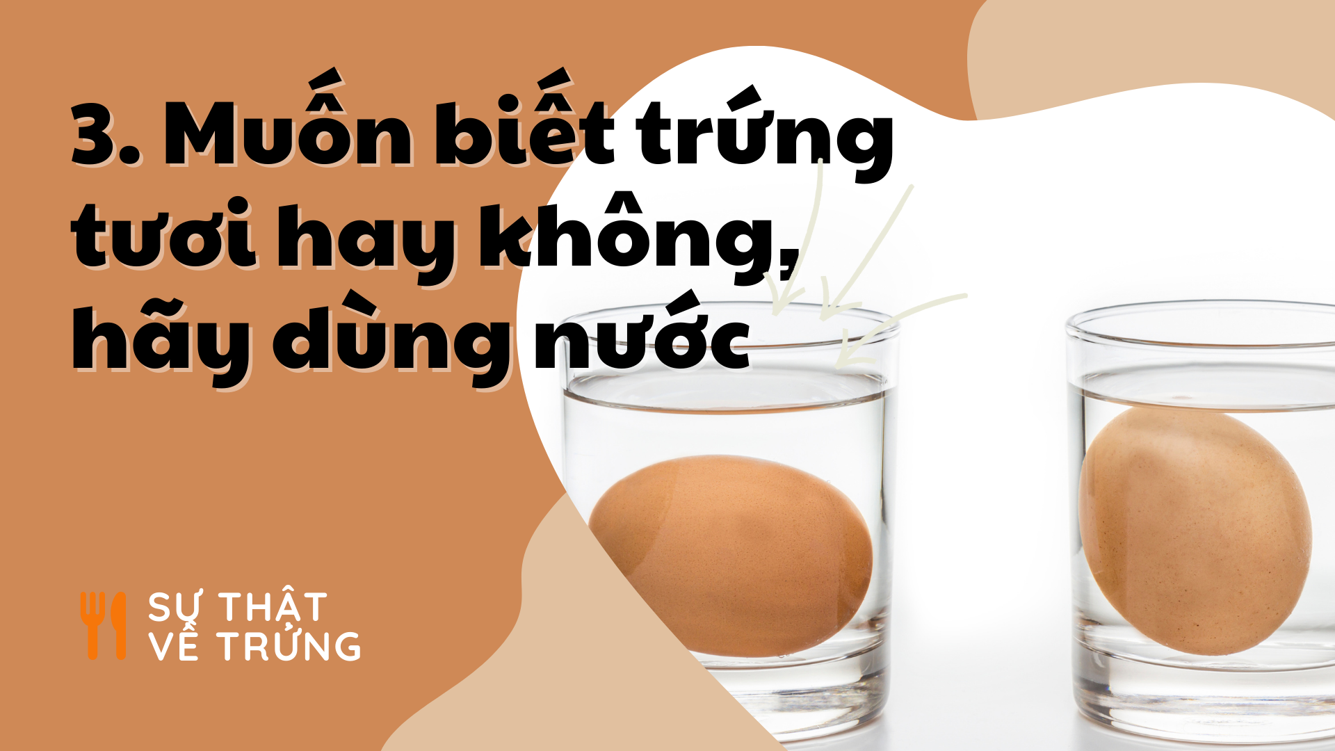 Khoa hoc ve nau an anh 3