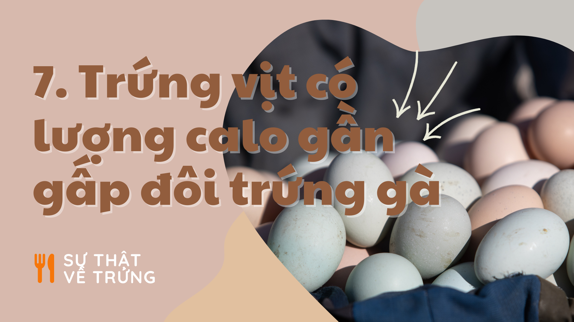 Khoa hoc ve nau an anh 7