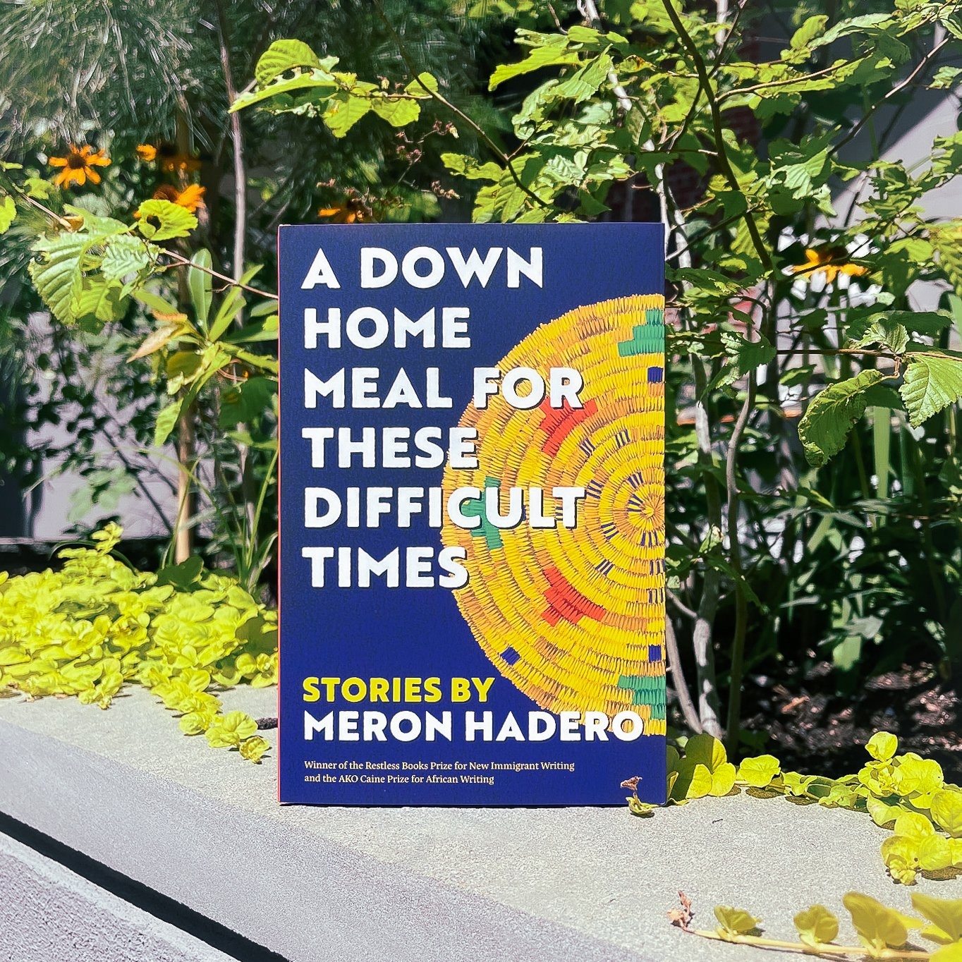 sach du lich,  sach trinh tham,  tieu thuyet,  sach nau an anh 4