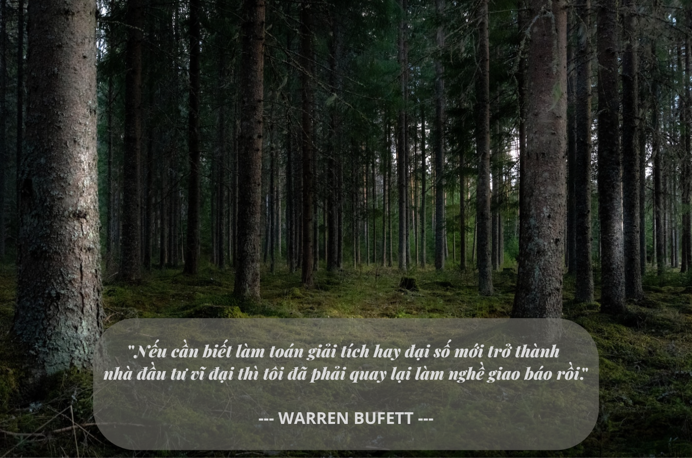 ty phu Warren Buffett,  tai san,  tien bac,  vang,  ty phu anh 2