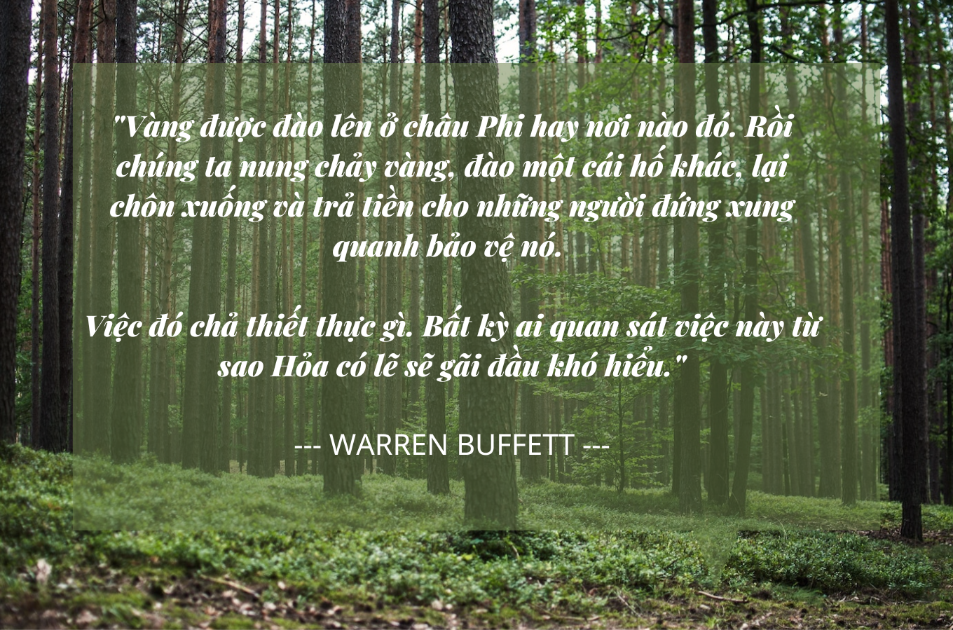 ty phu Warren Buffett,  tai san,  tien bac,  vang,  ty phu anh 5