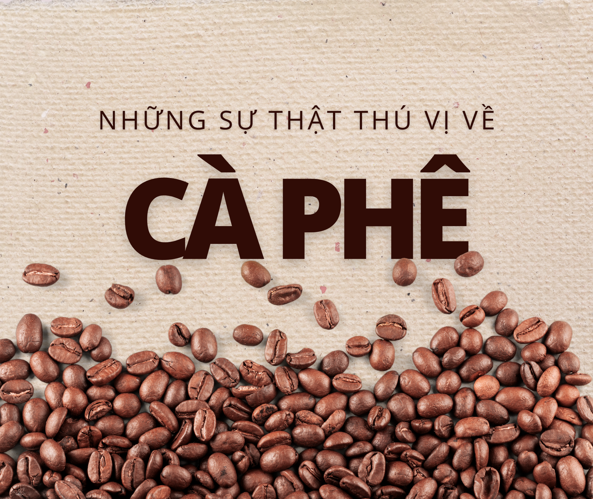 Nhung su that thu vi ve thuc uong pho bien nhat dia cau hinh anh