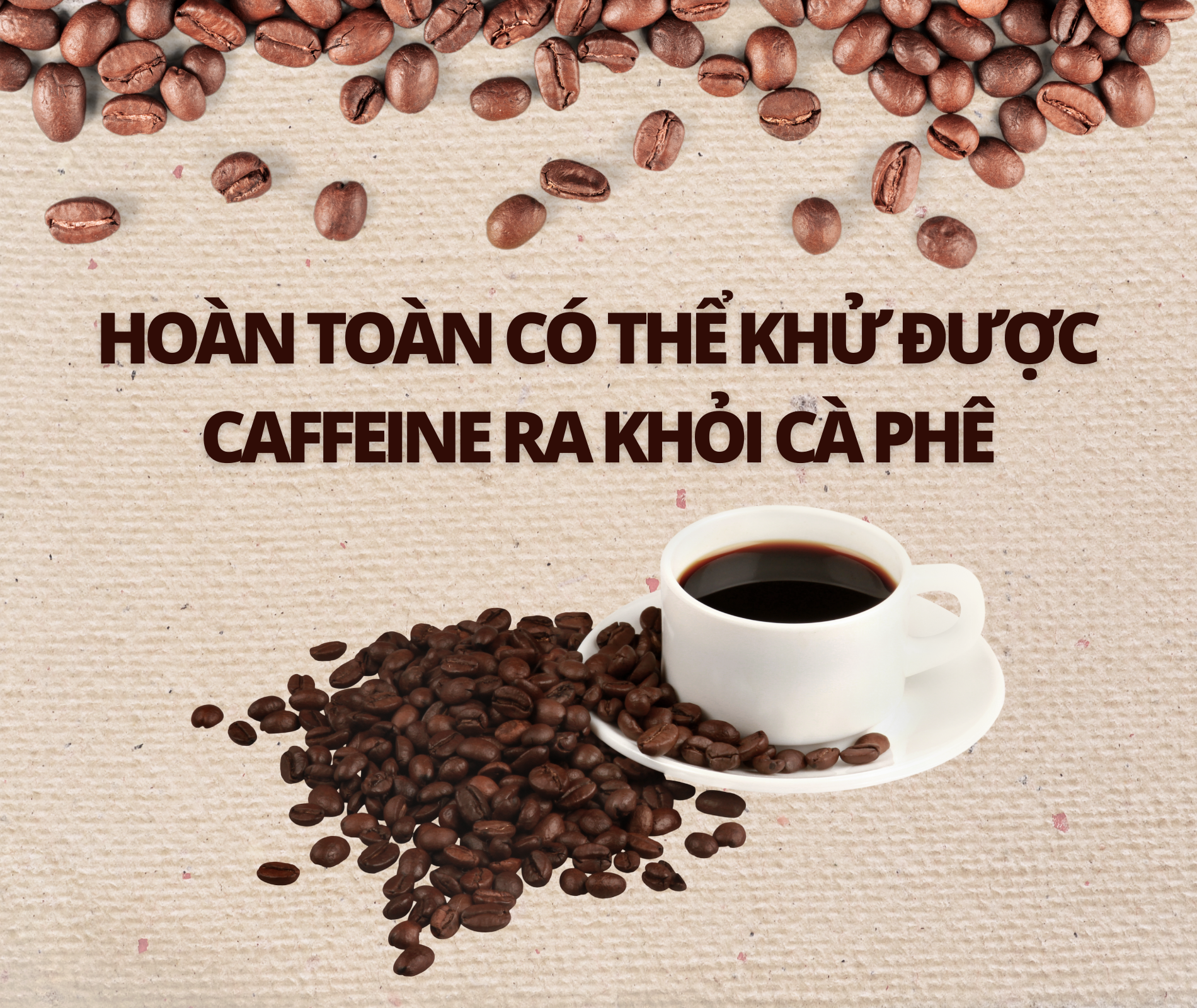 su that ve ca phe anh 5