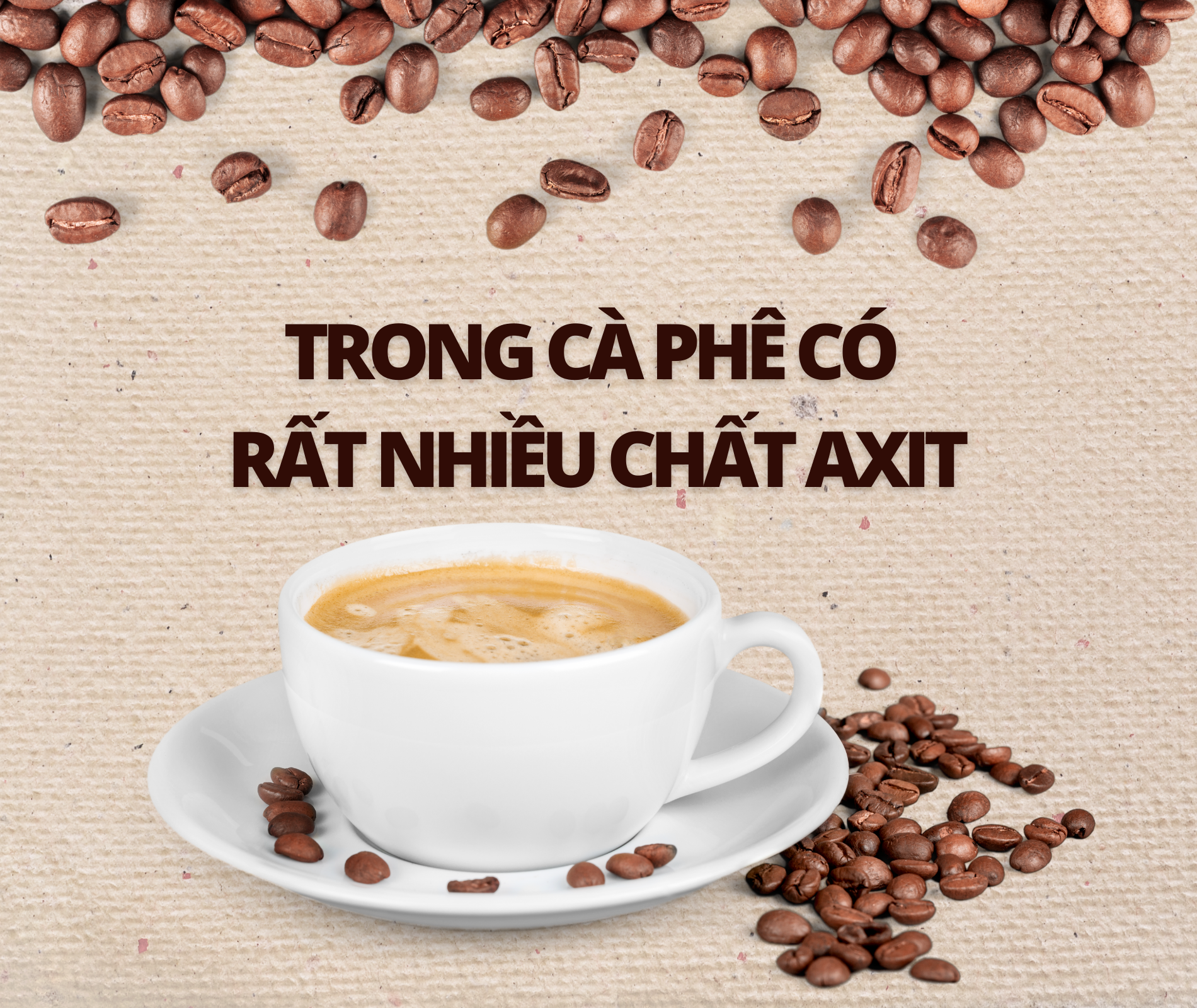 su that ve ca phe anh 6