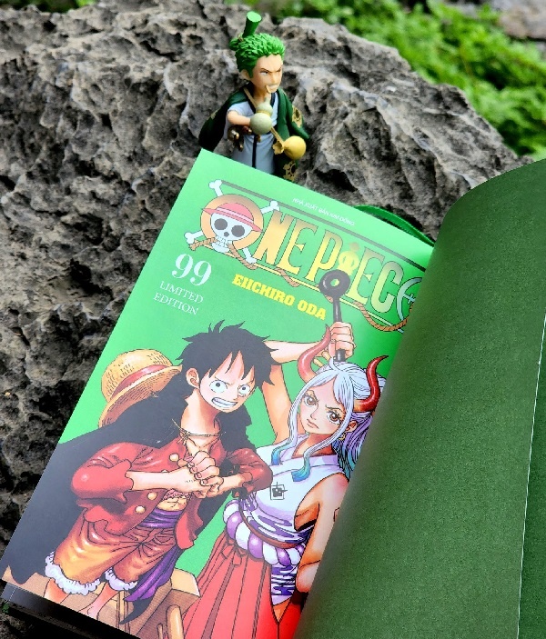 one piece tap 100 anh 13