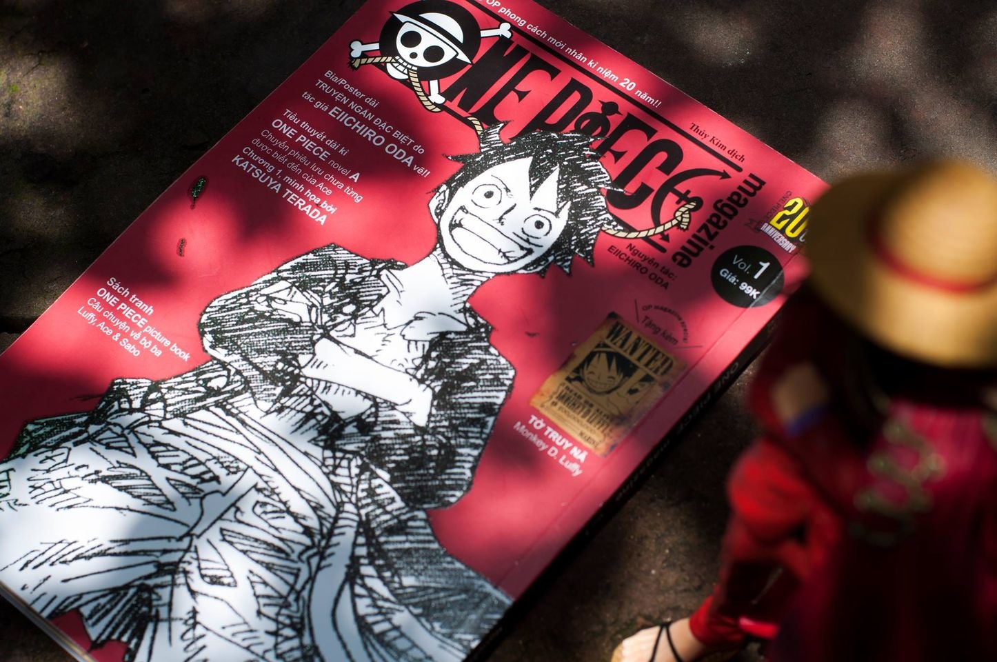 one piece tap 100 anh 9