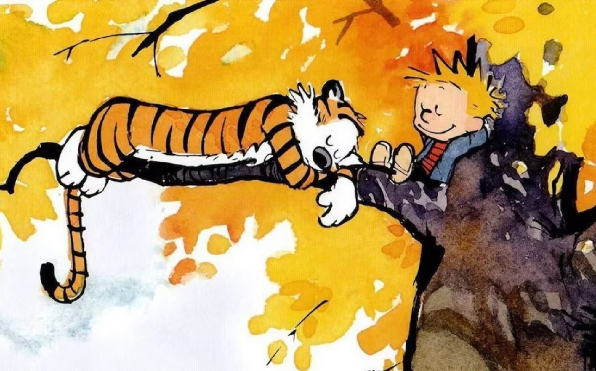 Tac pham goc cua 'Calvin and Hobbes' ban duoc gan 500.000 USD hinh anh