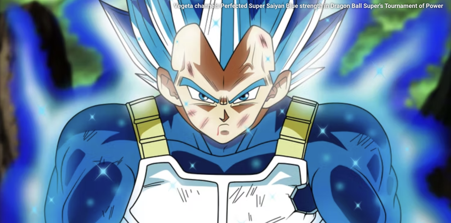 Vegeta anh 11