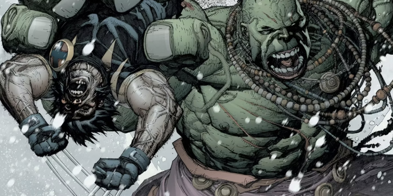 Wolverine vs Hulk anh 3