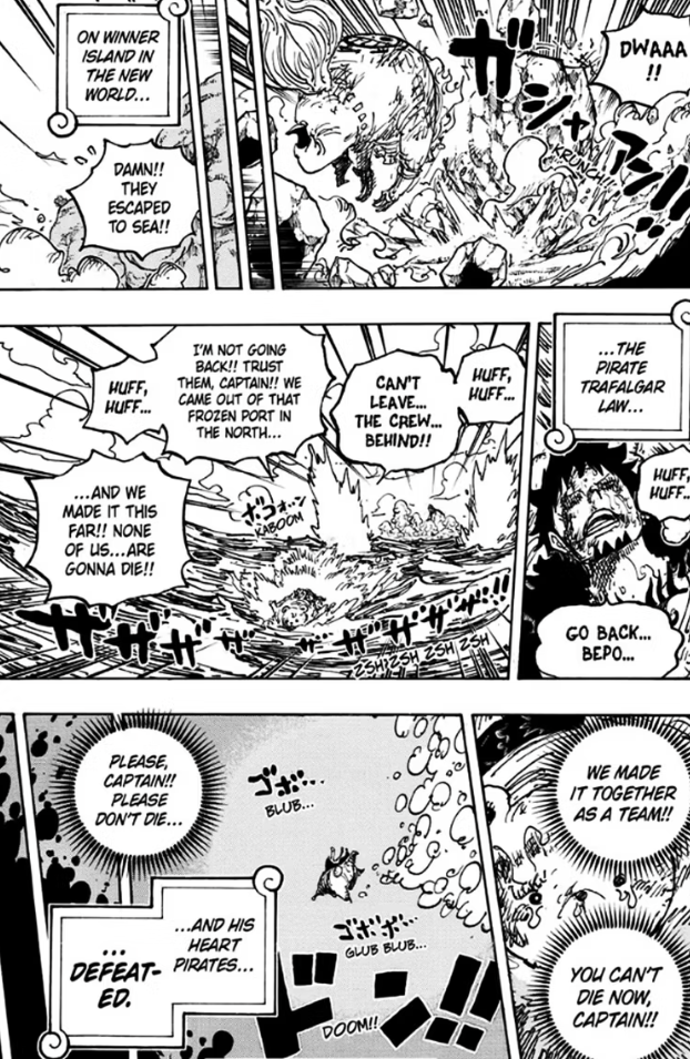 So phan Law One Piece anh 2