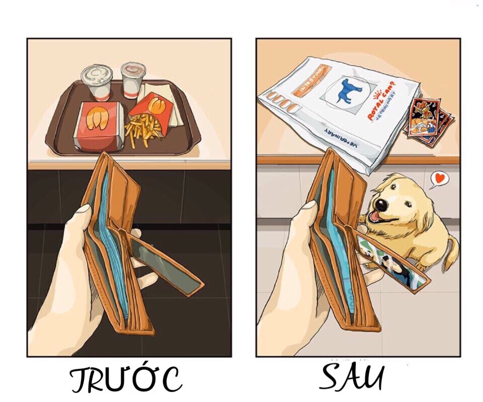 truoc va sau khi nuoi pet anh 1