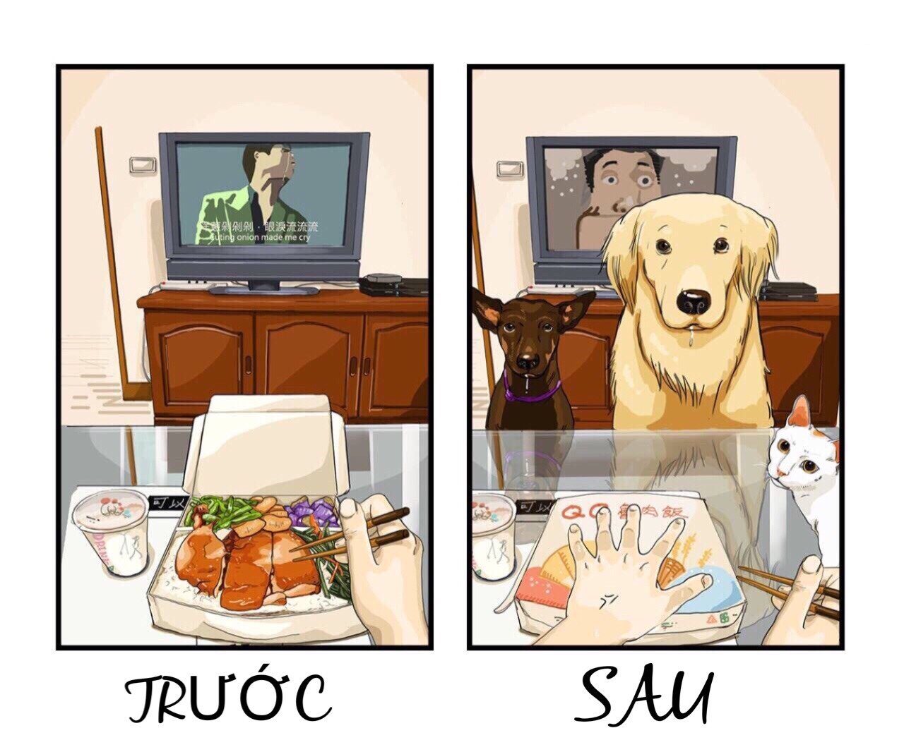 truoc va sau khi nuoi pet anh 2