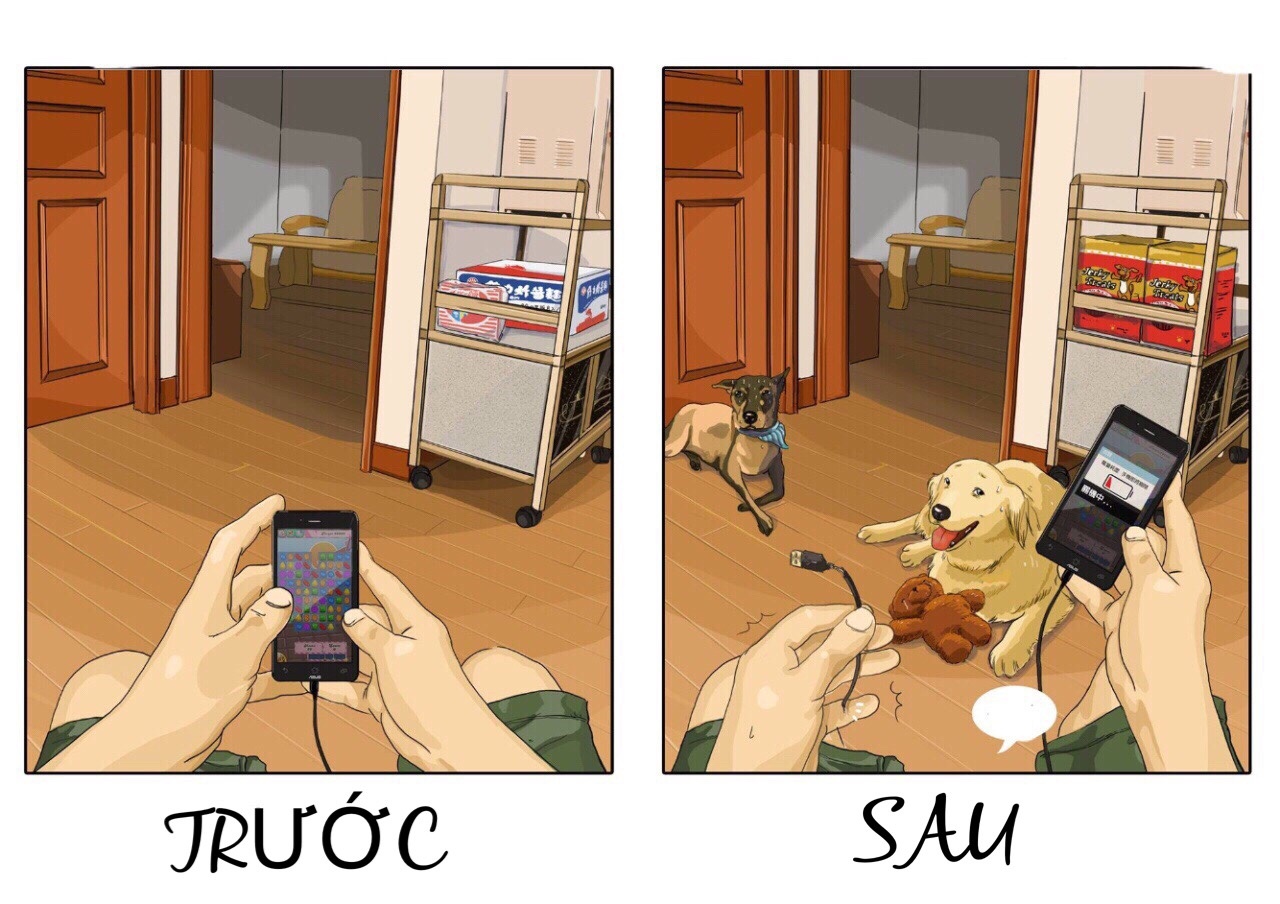 truoc va sau khi nuoi pet anh 3