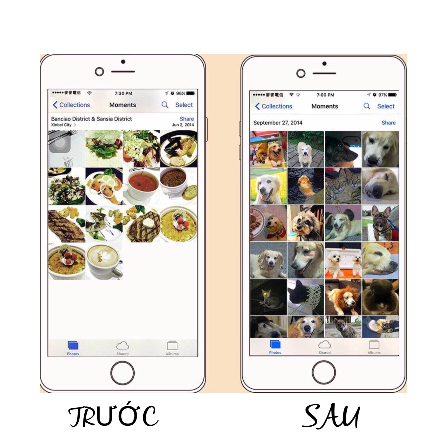 truoc va sau khi nuoi pet anh 4