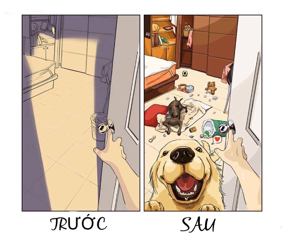 truoc va sau khi nuoi pet anh 5