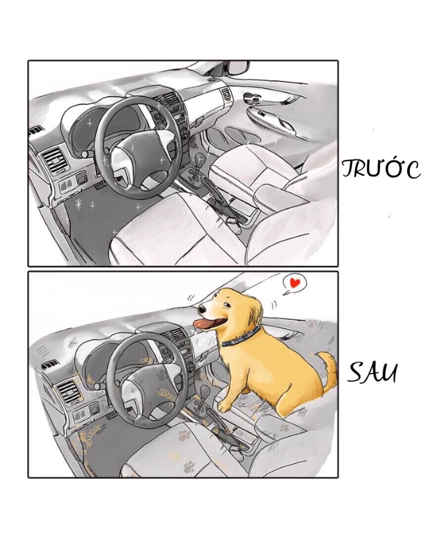 truoc va sau khi nuoi pet anh 6