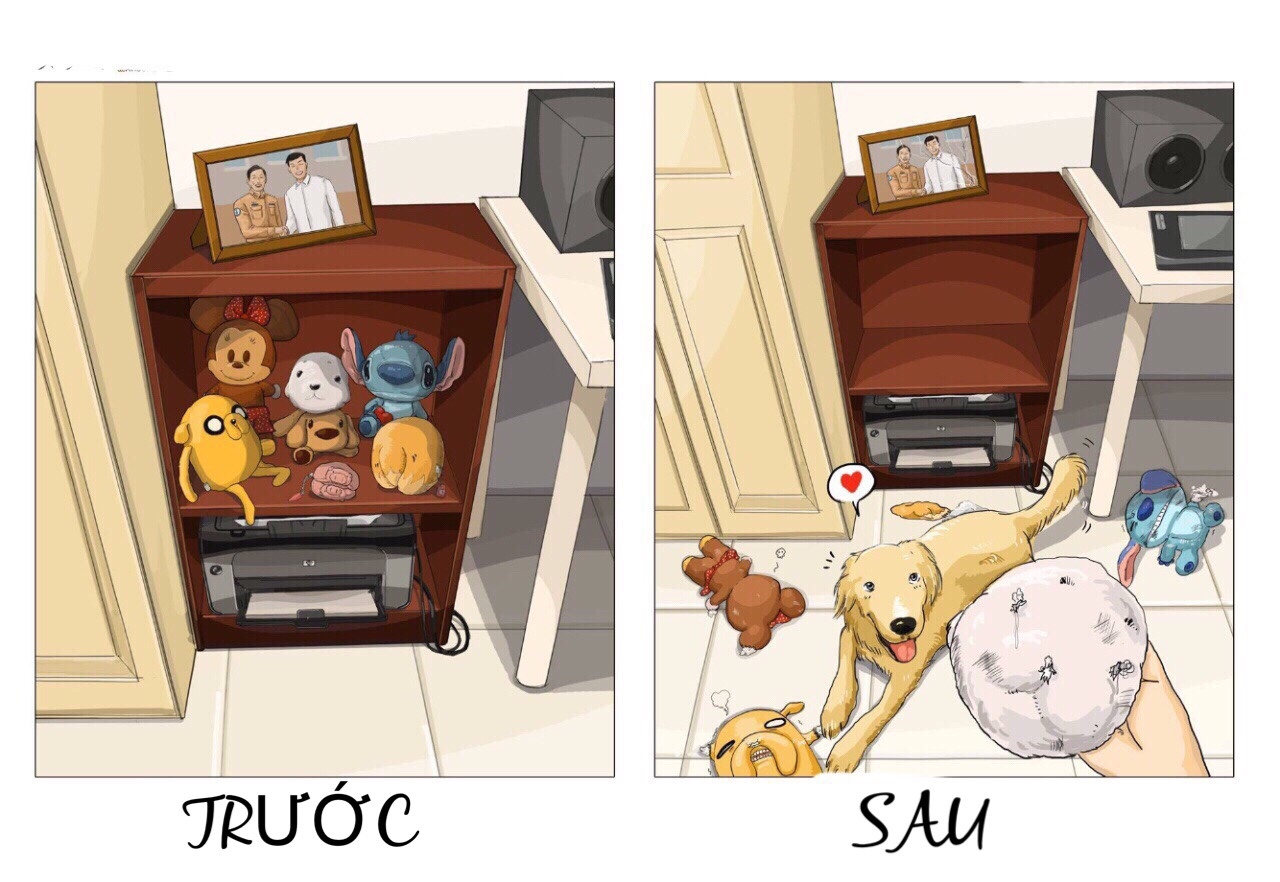 truoc va sau khi nuoi pet anh 8