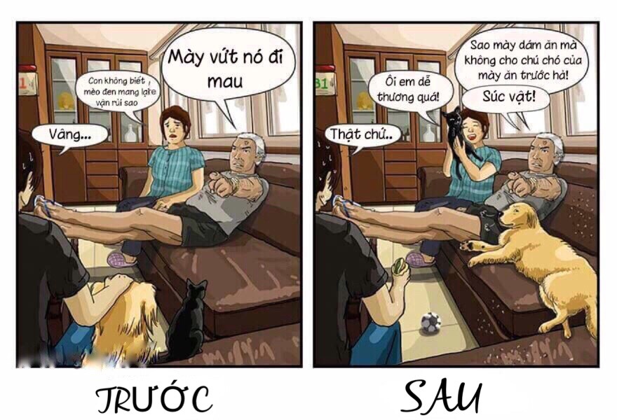 truoc va sau khi nuoi pet anh 9