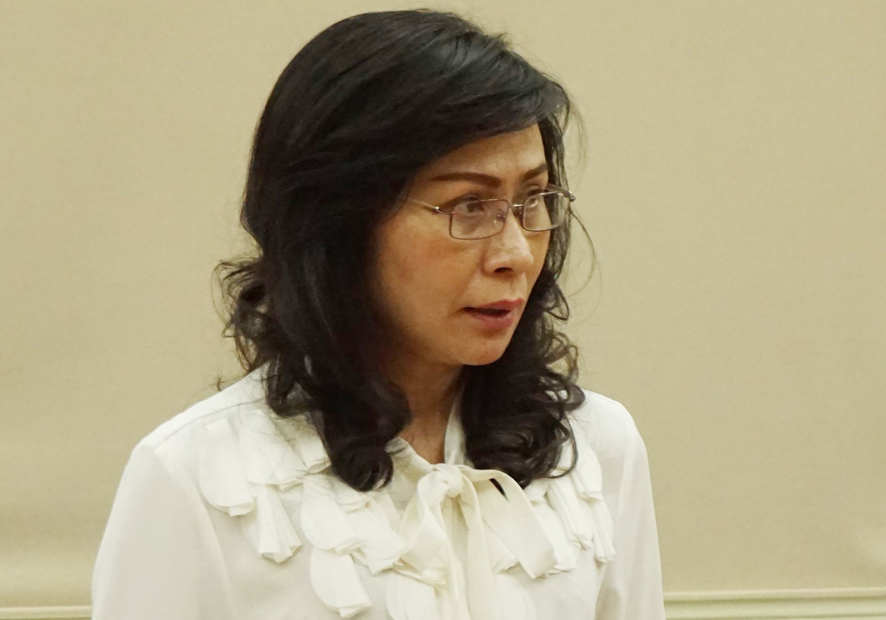 Pho chu tich UBND TP.HCM: 'Cac em dang bi bao hanh' hinh anh