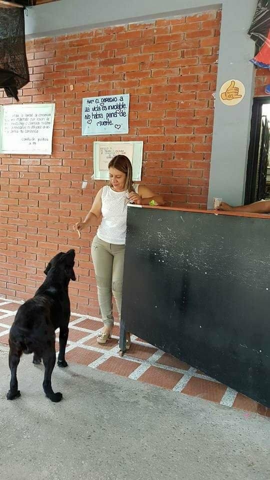 chú chó dùng lá mua bánh quy ảnh 2 chu cho dung la mua banh quy anh 2