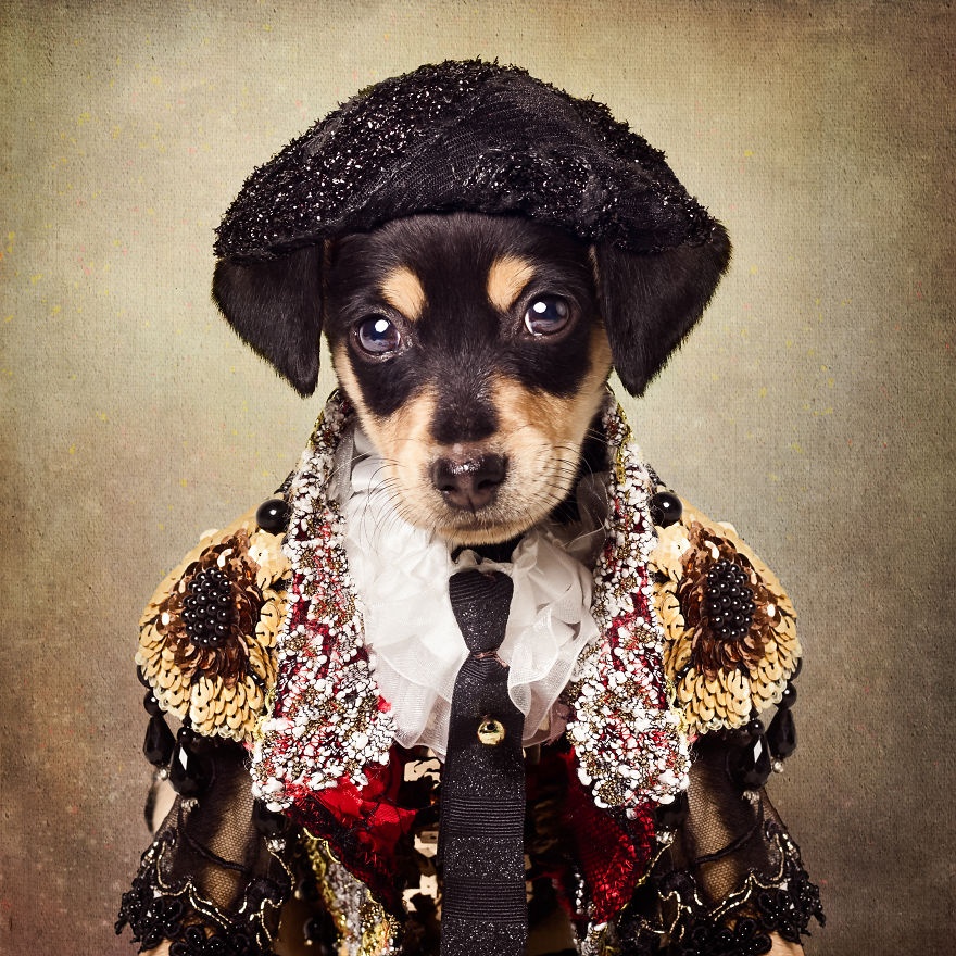 cho mac do ky si anh 2