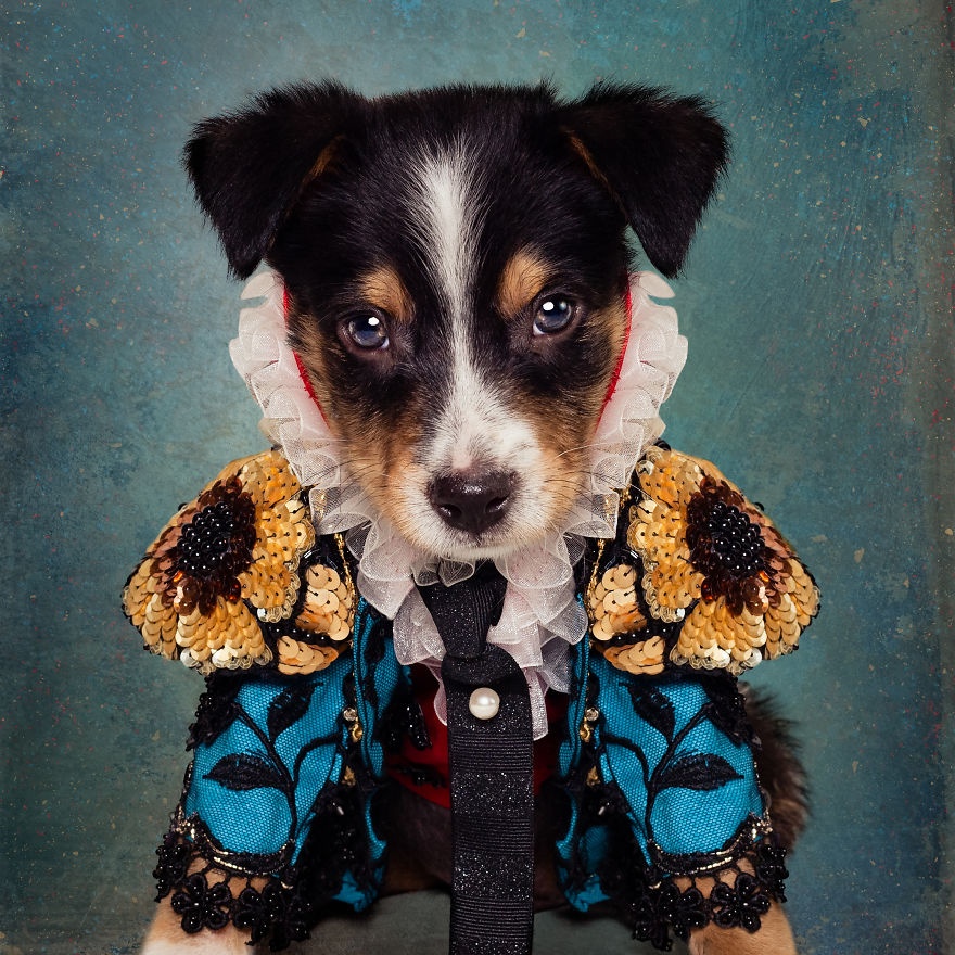 cho mac do ky si anh 4