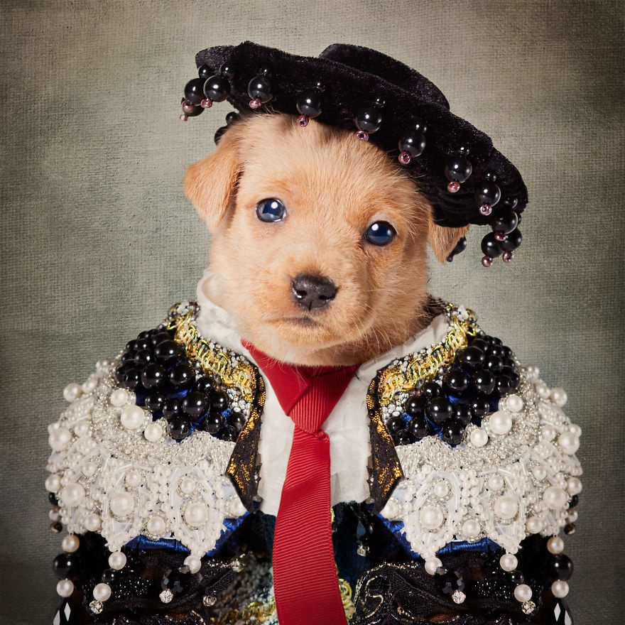 cho mac do ky si anh 5