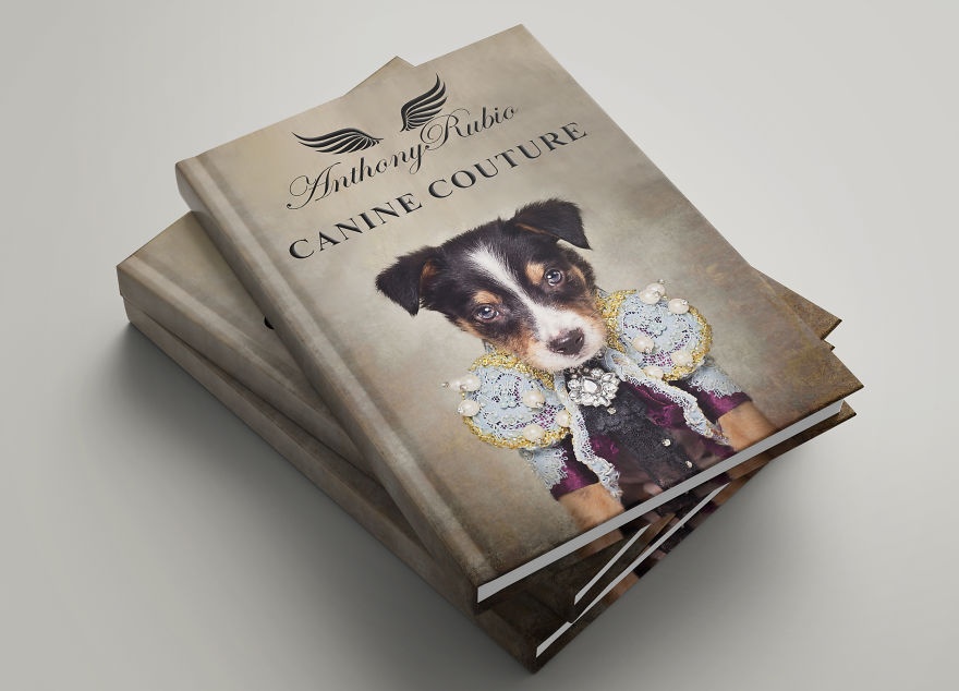 cho mac do ky si anh 7