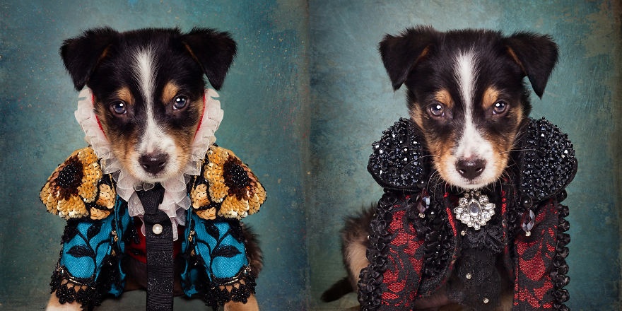 Nhung chu cho vo gia cu 'xuat than' khi trinh dien thoi trang hinh anh