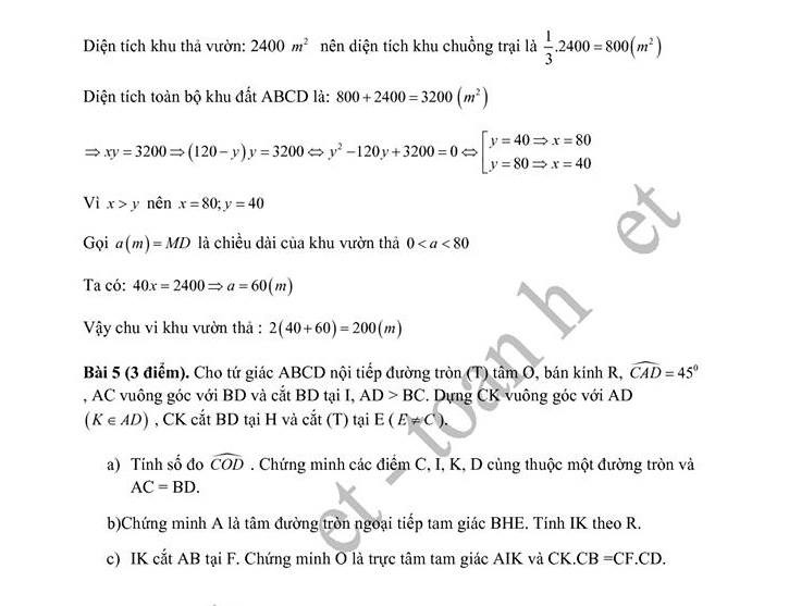 thi vao 10 o Sai Gon anh 6