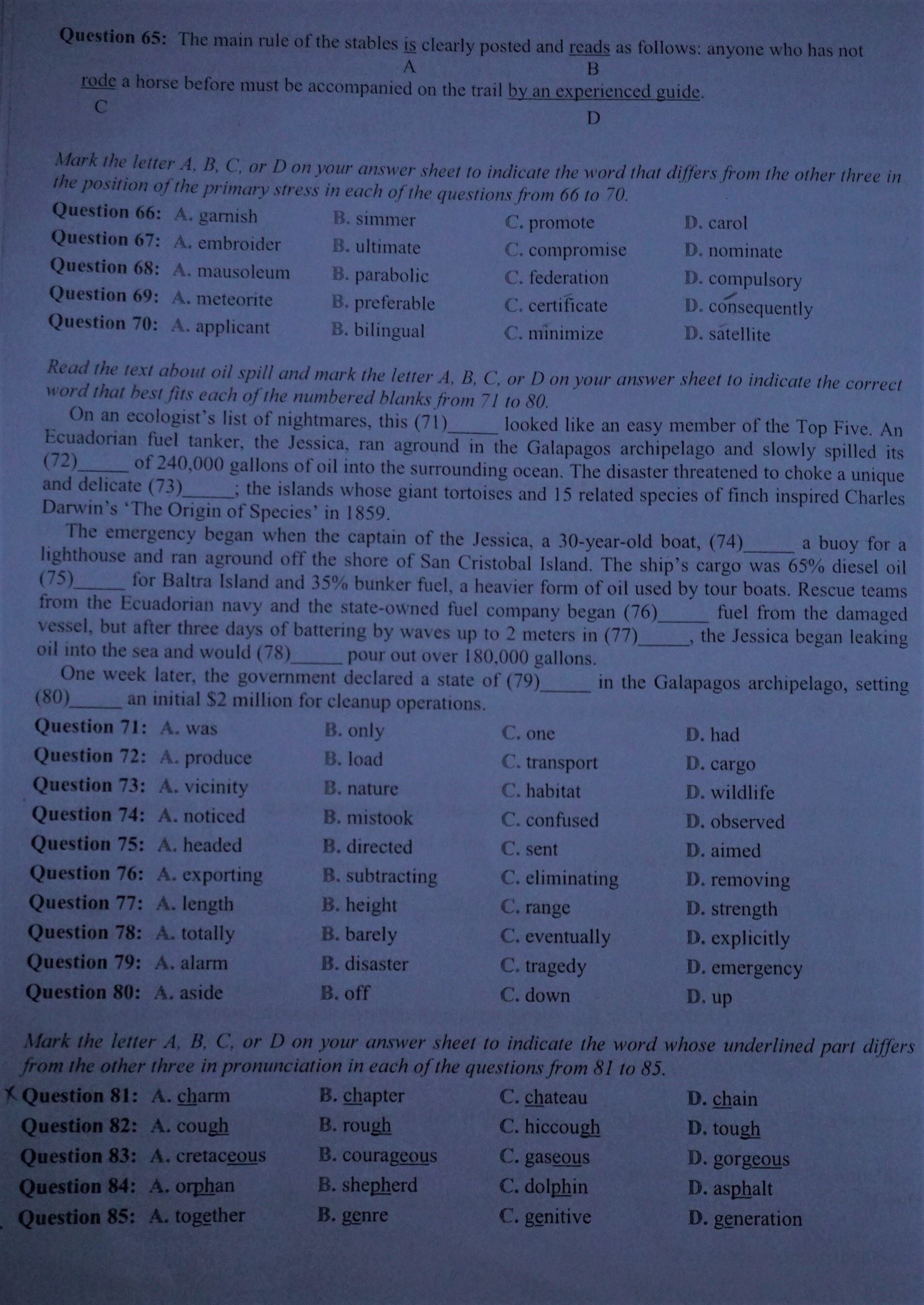 thi vao 10 o Sai Gon anh 6