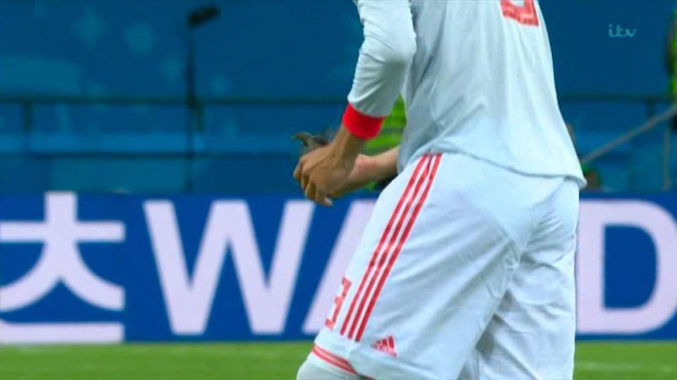 Isco duoc tan duong vi giai cuu chu chim trong tran Tay Ban Nha - Iran hinh anh