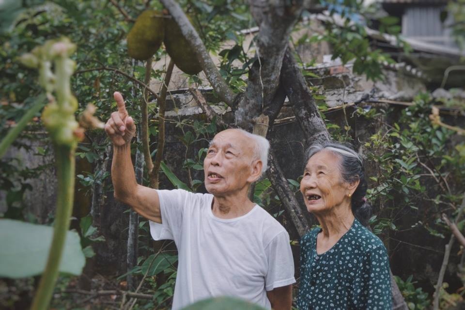 vợ chồng hà tĩnh ngoài 80 tuổi vẫn tình cảm ảnh 2 vo chong ha tinh ngoai 80 tuoi van tinh cam anh 2