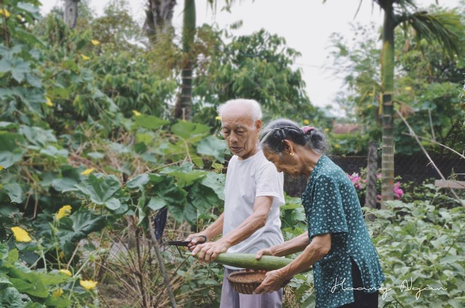 vợ chồng hà tĩnh ngoài 80 tuổi vẫn tình cảm ảnh 5 vo chong ha tinh ngoai 80 tuoi van tinh cam anh 5