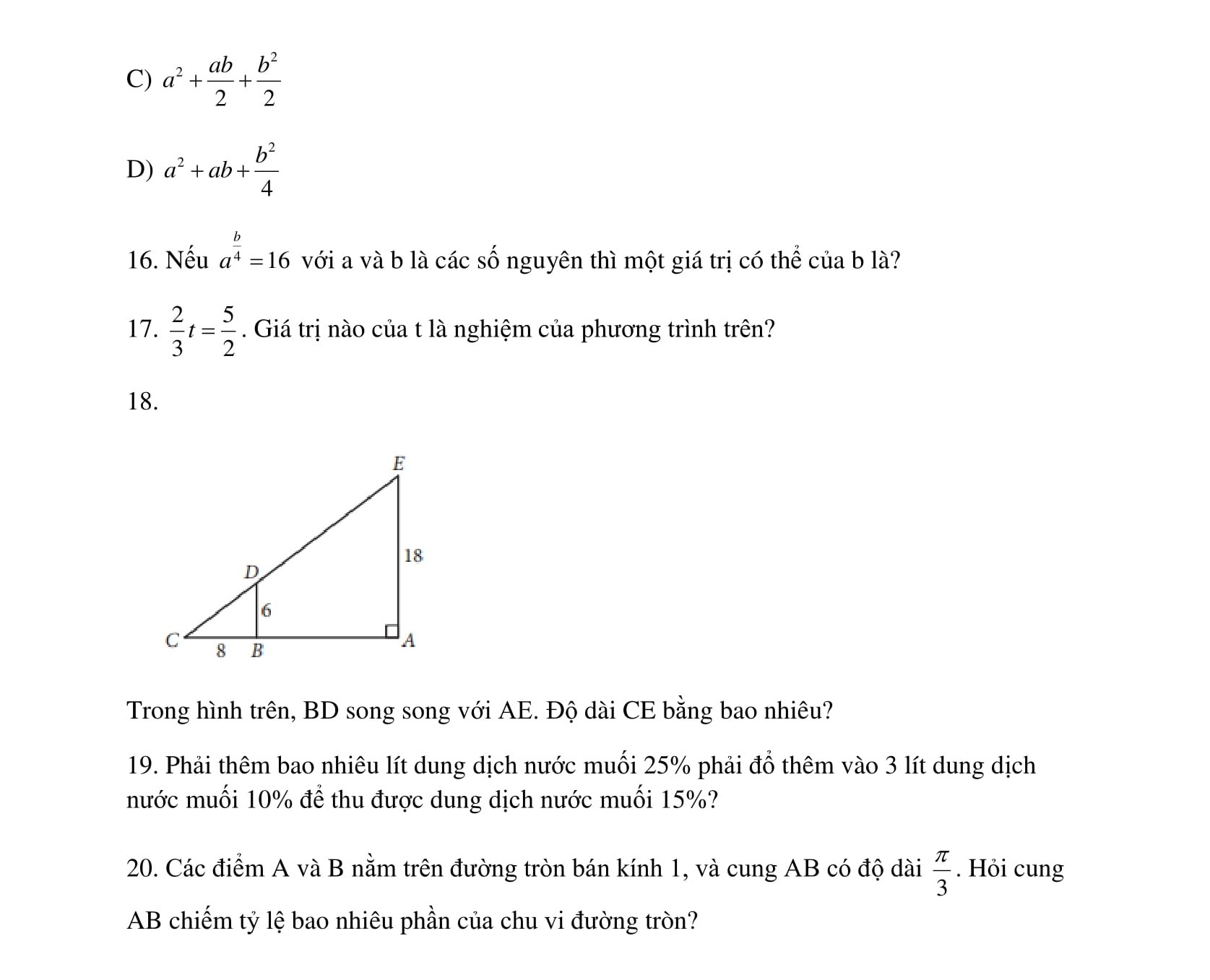 de thi SAT cua My anh 6