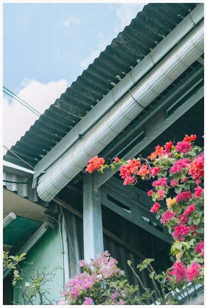 ngoi nha o An Giang anh 10