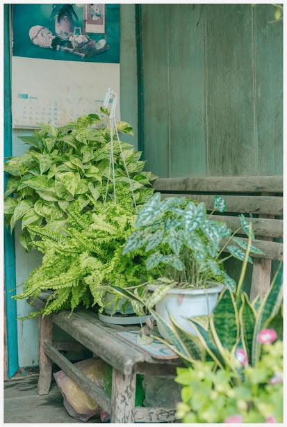 ngoi nha o An Giang anh 12