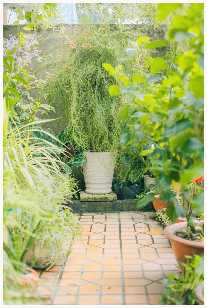 ngoi nha o An Giang anh 13